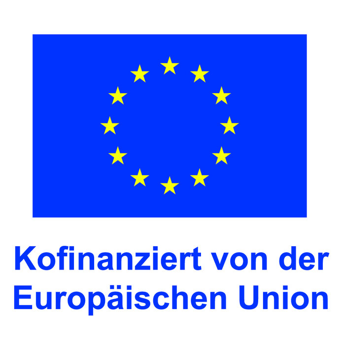 Kofinanziert von der Europäischen Union: Logo der EU mit Sternen auf blauer Fläche