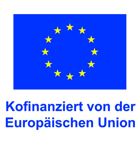 dunkelblaues EU-Logo gelber Sternkreis mit dem Schriftzug "Kofinanziert von der EU"