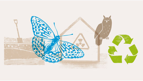Themenbereich Umwelt: Illustration mit Schmetterling, Eule, Bodenprofil, und Symbolen für Recycling und Strahlenschutz
