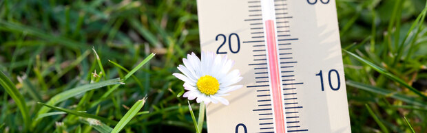 Symbolbild Wiese und Thermometer (Foto: SMUL / ArVis, fotolia.de)